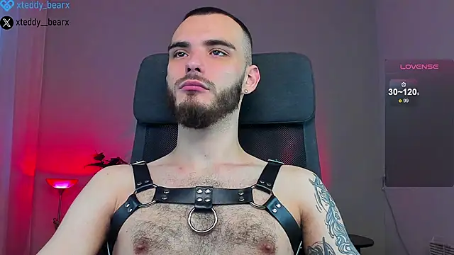 xteddy bear online show from January 18, 9:24 am