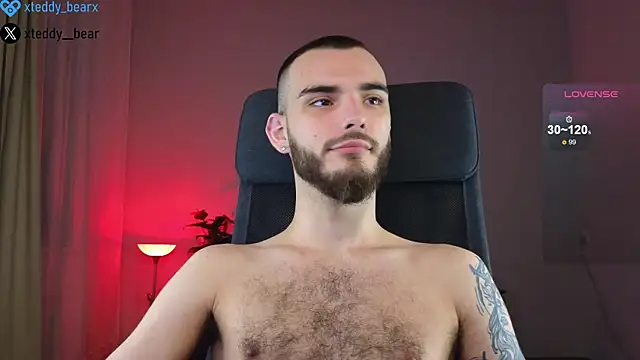 xteddy bear online show from January 18, 8:40 pm