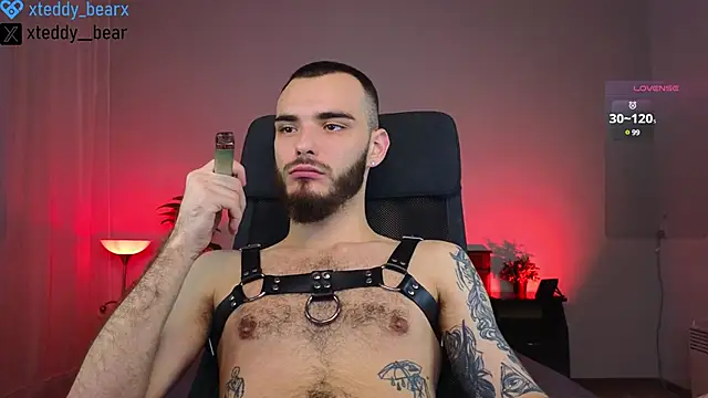 xteddy bear online show from January 20, 6:42 am