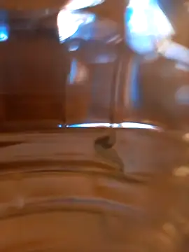 kx93 online show from October 7, 3:47 am