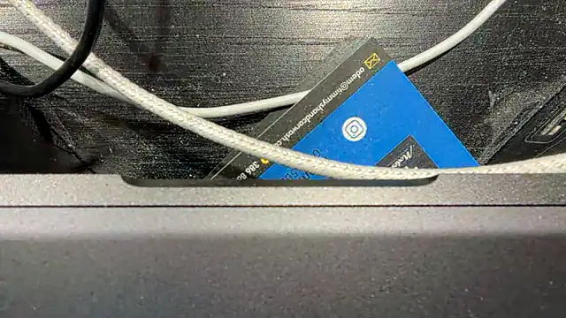 TinyTraps online show from December 17, 2:11 pm