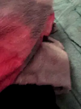 kumarisoni online show from December 5, 7:17 am