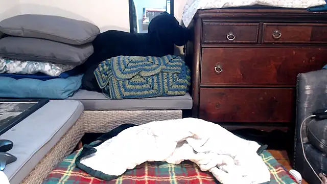Snapshot of ladyscarlotta chatting on February 9, 4:50 pm ladyscarlotta online show from February 9, 4:50 pm