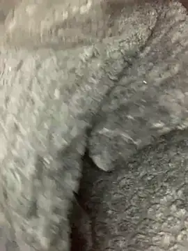 Snapshot of cardibabe chatting on October 5, 10:40 pm cardibabe online show from October 5, 10:40 pm