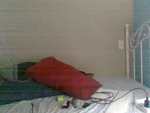 Snapshot of SmokingSloth chatting on February 9, 3:01 pm SmokingSloth online show from February 9, 3:01 pm