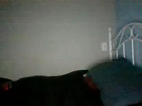 Snapshot of SmokingSloth chatting on March 16, 11:27 am SmokingSloth online show from March 16, 11:27 am