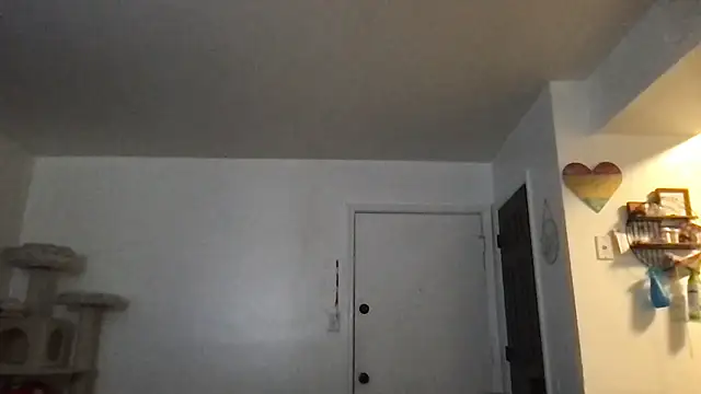 SpunCandy online show from January 17, 3:17 pm