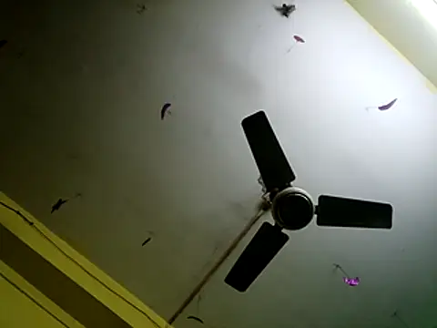 Snapshot of Sexyranibhabhi chatting on December 14, 2:17 am Sexyranibhabhi online show from December 14, 2:17 am