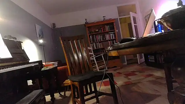 Snapshot of RolfS chatting on November 6, 11:59 pm RolfS online show from November 6, 11:59 pm