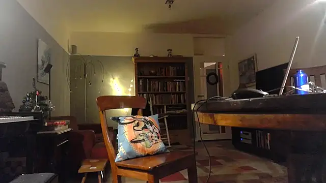 Snapshot of RolfS chatting on December 17, 11:33 pm RolfS online show from December 17, 11:33 pm