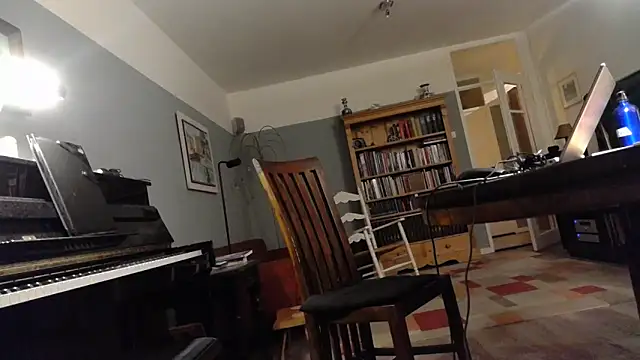 Snapshot of RolfS chatting on March 29, 10:10 pm RolfS online show from March 29, 10:10 pm