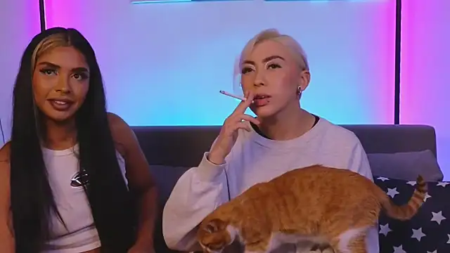 jane hart  online show from February 6, 12:43 am