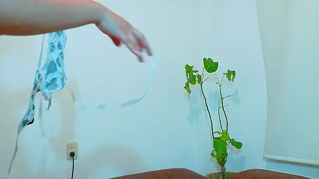 Snapshot of clydexxxbunny chatting on December 7, 6:48 pm clydexxxbunny online show from December 7, 6:48 pm