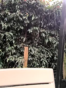 Snapshot of Fun_Everywhere chatting on March 14, 8:38 pm Fun Everywhere online show from March 14, 8:38 pm