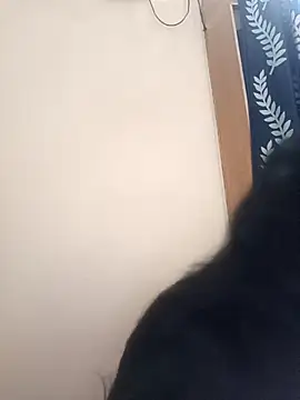 Anjali 88 online show from December 22, 9:50 am