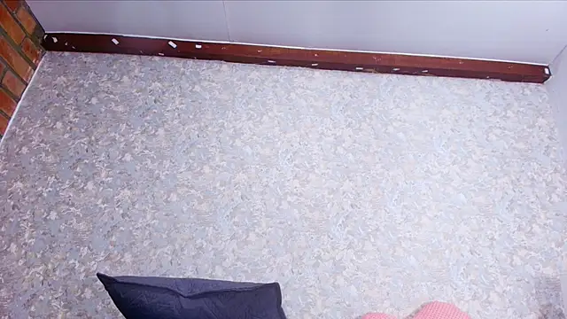 nicol f online show from November 27, 3:08 am