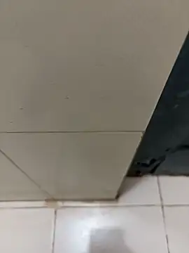 nangakings online show from December 17, 3:18 pm