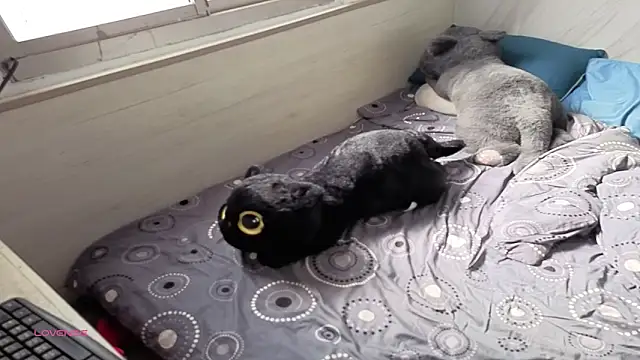 Snapshot of Big19Asia chatting on September 18, 1:18 am Big19Asia online show from September 18, 1:18 am