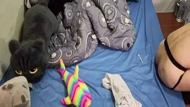 Snapshot of Big19Asia chatting on September 24, 3:37 pm Big19Asia online show from September 24, 3:37 pm