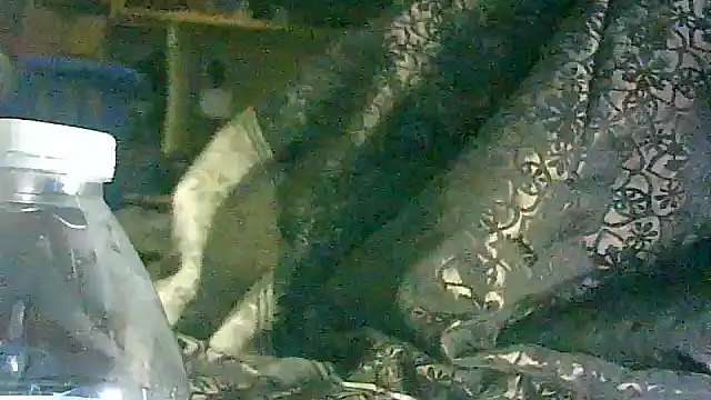 DI4MOND FIR3 online show from March 17, 5:55 am