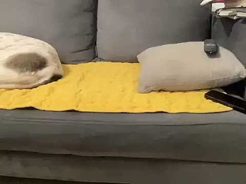 4small4inchlol online show from January 10, 3:25 pm