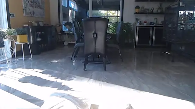 Snapshot of Toy-Daddy chatting on October 28, 6:43 pm Toy-Daddy online show from October 28, 6:43 pm