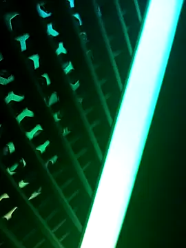 Snapshot of PerfectAhinsa chatting on September 20, 5:58 pm PerfectAhinsa online show from September 20, 5:58 pm