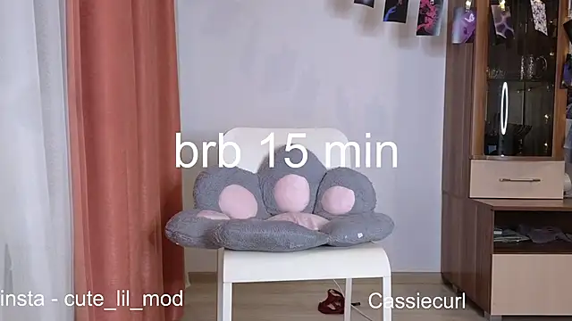 art phoenix online show from December 1, 7:36 pm