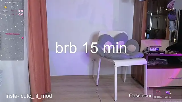 art phoenix online show from February 28, 8:07 pm