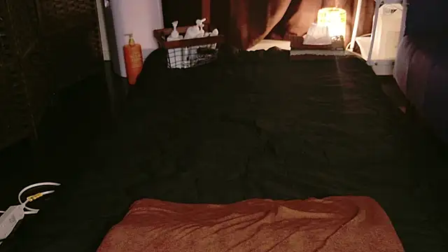 Snapshot of JP-MINT_oO_investigation_ chatting on October 8, 10:51 pm JP-MINT oO investigation  online show from October 8, 10:51 pm