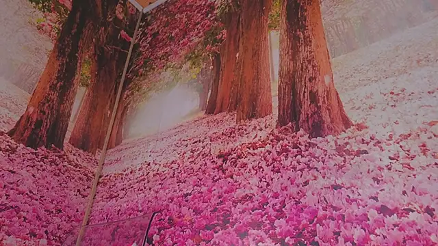 Wet nympho online show from May 3, 6:52 am