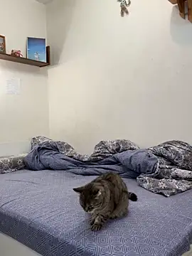 Snapshot of UmaTruewoman chatting on November 18, 3:12 am UmaTruewoman online show from November 18, 3:12 am