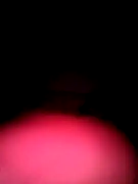 Snapshot of Porco81cazzo chatting on December 4, 3:38 am Porco81cazzo online show from December 4, 3:38 am