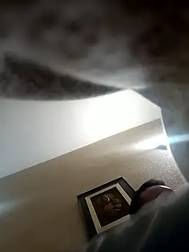 Snapshot of Porco81cazzo chatting on January 5, 6:33 pm Porco81cazzo online show from January 5, 6:33 pm