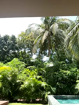 Olivia Collins1 online show from September 16, 4:52 pm