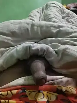 Snapshot of iaparna chatting on December 24, 5:13 pm iaparna online show from December 24, 5:13 pm