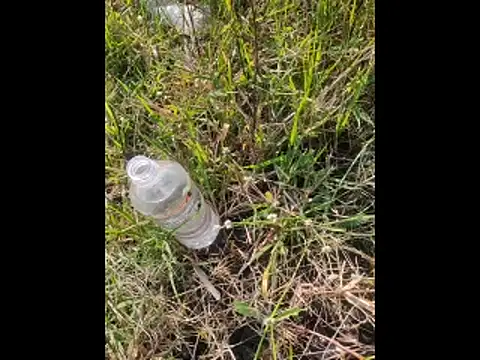 Snapshot of boy_BeardGallery chatting on November 10, 9:52 am boy BeardGallery online show from November 10, 9:52 am