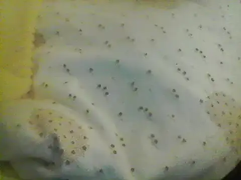 Snapshot of Bigpenis6y chatting on January 24, 5:21 am Bigpenis6y online show from January 24, 5:21 am