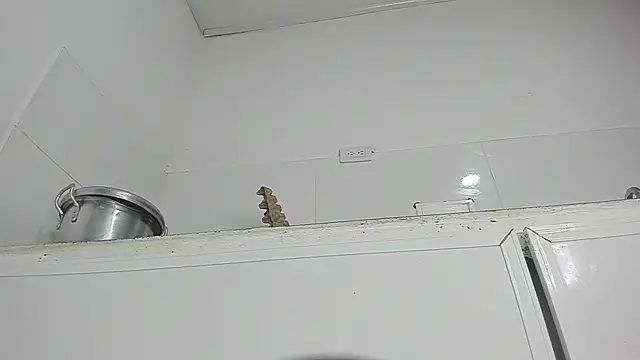 Snapshot of Sophie_sweett19 chatting on January 23, 3:37 am Sophie sweett19 online show from January 23, 3:37 am