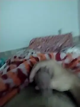 Snapshot of lm279 chatting on February 13, 5:33 pm lm279 online show from February 13, 5:33 pm