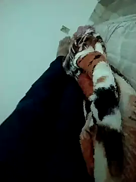 Snapshot of lm279 chatting on February 14, 3:47 pm lm279 online show from February 14, 3:47 pm