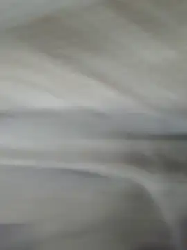 Snapshot of lm279 chatting on November 1, 3:58 pm lm279 online show from November 1, 3:58 pm