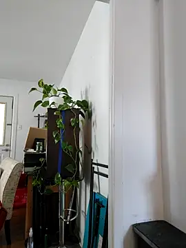 Snapshot of QcMisterv13 chatting on September 30, 2:22 pm QcMisterv13 online show from September 30, 2:22 pm