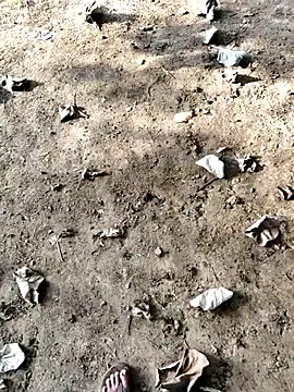 Ishan003 online show from September 12, 1:38 am