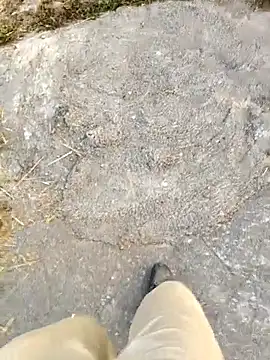 Ishan003 online show from February 5, 1:32 am