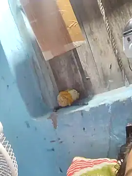 Snapshot of Natasha-In69 chatting on January 31, 10:10 pm Natasha-In69 online show from January 31, 10:10 pm