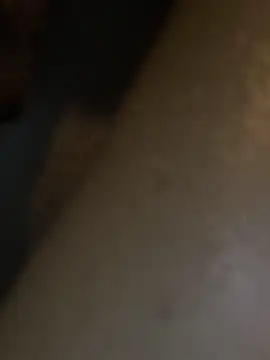 Snapshot of HBYAM chatting on December 30, 6:38 pm HBYAM online show from December 30, 6:38 pm