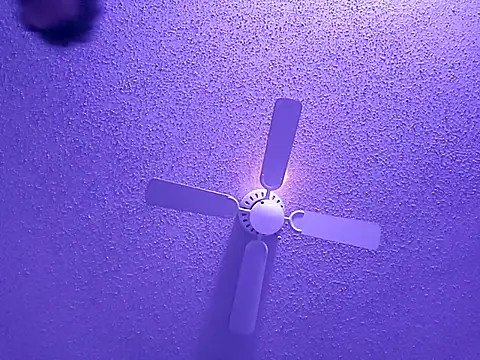 big8dall online show from September 24, 6:50 am