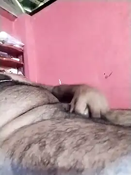 rajshank online show from November 24, 6:24 am