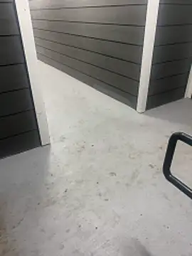 zeekBbc online show from February 8, 8:40 am